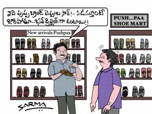 pushpabrand chappals